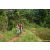 Team 307 / Raid Amazones Sri Lanka 2023 - J5 VTT