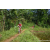 Team 71 / Raid Amazones Sri Lanka 2023 - J5 VTT