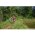Team 323 / Raid Amazones Sri Lanka 2023 - J5 VTT