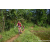 Team 323 / Raid Amazones Sri Lanka 2023 - J5 VTT