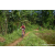 Team 323 / Raid Amazones Sri Lanka 2023 - J5 VTT