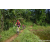 Team 303 / Raid Amazones Sri Lanka 2023 - J5 VTT
