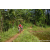 Team 337 / Raid Amazones Sri Lanka 2023 - J5 VTT