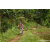 Team 319 / Raid Amazones Sri Lanka 2023 - J5 VTT