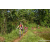 Team 317 / Raid Amazones Sri Lanka 2023 - J5 VTT