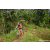 Team 301 / Raid Amazones Sri Lanka 2023 - J5 VTT