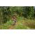 Team 27 / Raid Amazones Sri Lanka 2023 - J5 VTT