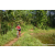 Team 43 / Raid Amazones Sri Lanka 2023 - J5 VTT