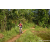 Team 315 / Raid Amazones Sri Lanka 2023 - J5 VTT