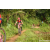 Team 310 / Raid Amazones Sri Lanka 2023 - J5 VTT