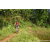 Team 333 / Raid Amazones Sri Lanka 2023 - J5 VTT