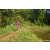 Team 02 / Raid Amazones Sri Lanka 2023 - J5 VTT