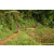 Team 02 / Raid Amazones Sri Lanka 2023 - J5 VTT