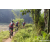 Team 330 / Raid Amazones Sri Lanka 2023 - J5 VTT