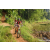 Team 89 / Raid Amazones Sri Lanka 2023 - J5 VTT