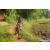 Team 63 / Raid Amazones Sri Lanka 2023 - J5 VTT