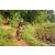 Team 74 / Raid Amazones Sri Lanka 2023 - J5 VTT