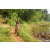 Team 69 / Raid Amazones Sri Lanka 2023 - J5 VTT