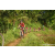 Team 40 / Raid Amazones Sri Lanka 2023 - J5 VTT
