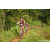 Team 30 / Raid Amazones Sri Lanka 2023 - J5 VTT