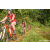 Team 33 / Raid Amazones Sri Lanka 2023 - J5 VTT