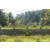Team 85 / Raid Amazones Sri Lanka 2023 - J5 VTT