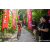 Team 301 / Raid Amazones Sri Lanka 2023 - J5 VTT