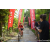 Team 31 / Raid Amazones Sri Lanka 2023 - J5 VTT