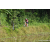 Team 331 / Raid Amazones Sri Lanka 2023 - J5 VTT