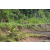 Team 324 / Raid Amazones Sri Lanka 2023 - J5 VTT