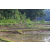 Team 313 / Raid Amazones Sri Lanka 2023 - J5 VTT