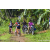 Team 90 / Raid Amazones Sri Lanka 2023 - J5 VTT