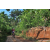 Team 302 / Raid Amazones Sri Lanka 2023 - J5 VTT