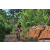 Team 304 / Raid Amazones Sri Lanka 2023 - J5 VTT