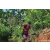 Team 304 / Raid Amazones Sri Lanka 2023 - J5 VTT