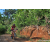 Team 33 / Raid Amazones Sri Lanka 2023 - J5 VTT