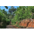 Team 33 / Raid Amazones Sri Lanka 2023 - J5 VTT