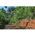 Team 321 / Raid Amazones Sri Lanka 2023 - J5 VTT