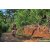 Team 05 / Raid Amazones Sri Lanka 2023 - J5 VTT