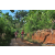 Team 63 / Raid Amazones Sri Lanka 2023 - J5 VTT