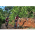 Team 63 / Raid Amazones Sri Lanka 2023 - J5 VTT
