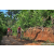 Team 49 / Raid Amazones Sri Lanka 2023 - J5 VTT
