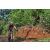 Team 47 / Raid Amazones Sri Lanka 2023 - J5 VTT