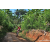 Team 40 / Raid Amazones Sri Lanka 2023 - J5 VTT
