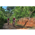 Team 74 / Raid Amazones Sri Lanka 2023 - J5 VTT