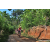 Team 39 / Raid Amazones Sri Lanka 2023 - J5 VTT