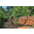 Team 17 / Raid Amazones Sri Lanka 2023 - J5 VTT