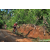 Team 20 / Raid Amazones Sri Lanka 2023 - J5 VTT