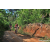 Team 20 / Raid Amazones Sri Lanka 2023 - J5 VTT