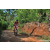 Team 08 / Raid Amazones Sri Lanka 2023 - J5 VTT